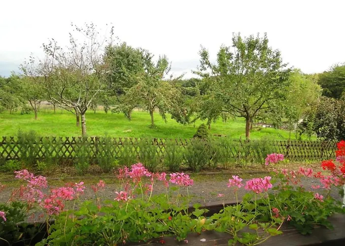 Standard In Heiderhof By Belvilla Daire *