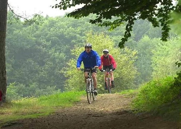 Standard In Heiderhof By Belvilla Daire