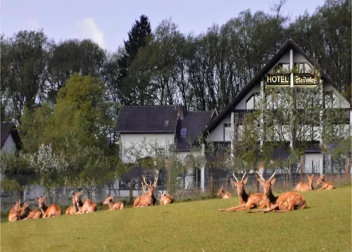 Standard In Heiderhof By Belvilla Daire