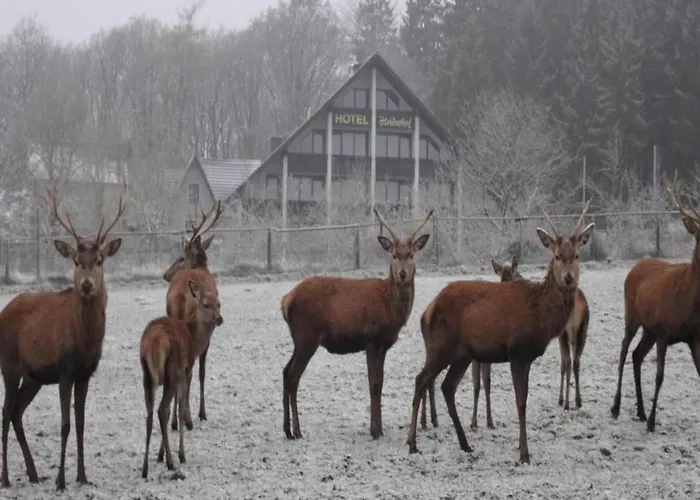 Standard In Heiderhof By Belvilla Daire Obersteinebach